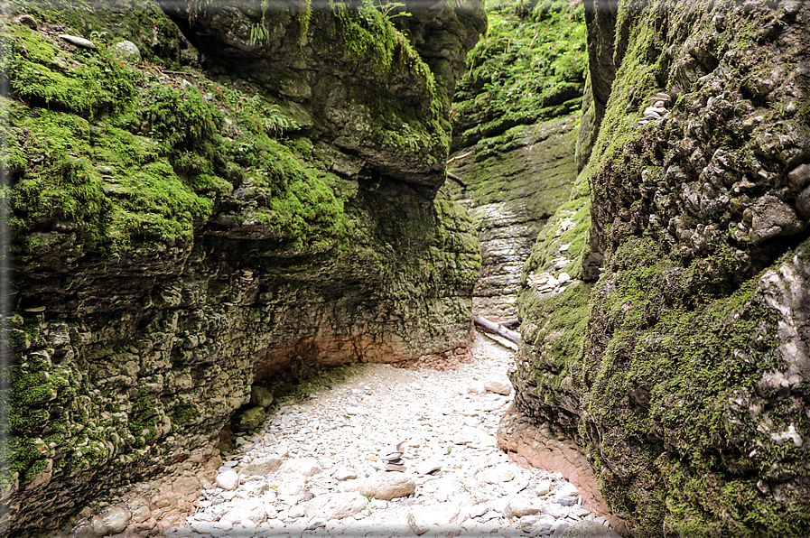 foto Canyon del Buso Vecio